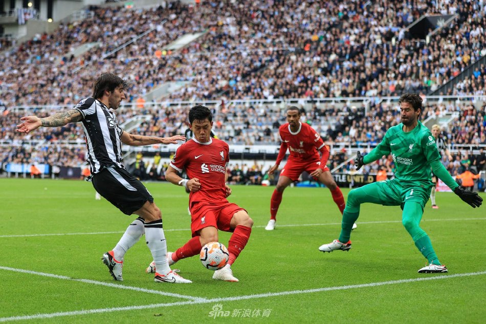 本次合作还 本次合作还