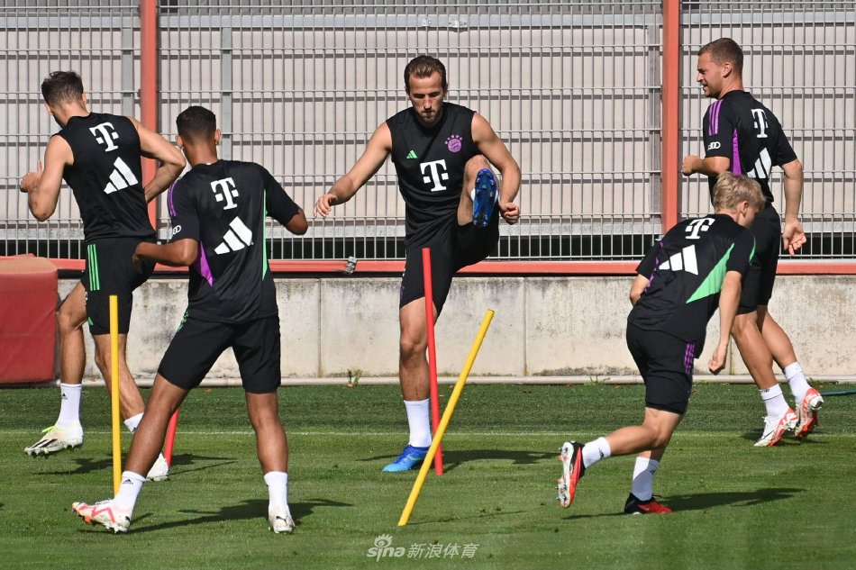 基米希决定 基米希决定